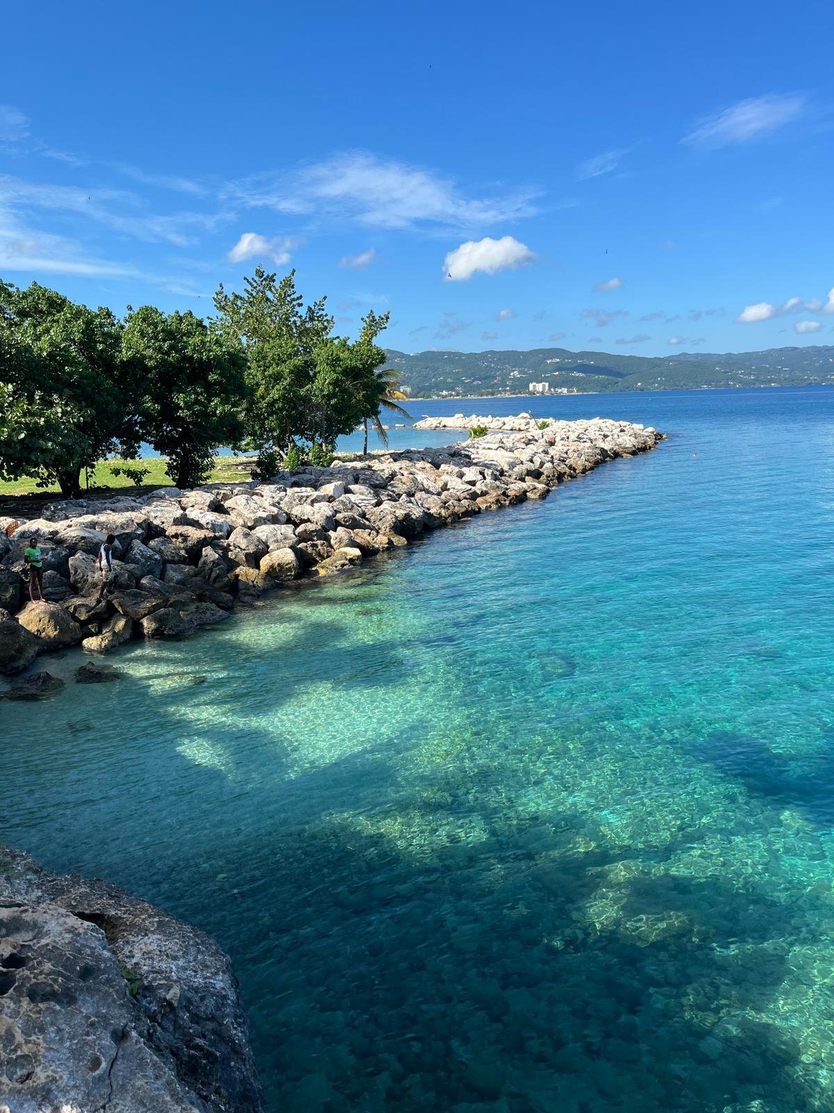 beautiful scenic shot bottom road